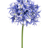 Een Kunstbloem Nerine 70 cm paars met veel kleine stervormige paarse bloesems in een bolvormige cluster op een lange groene steel, tegen een effen witte achtergrond.