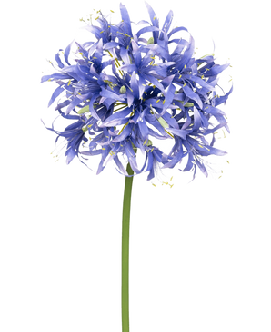 De Kunstbloem Nerine 70 cm paars heeft een tros levendige paarse bloemen op een hoge groene steel, tegen een witte achtergrond - ideaal voor kunstbloemen arrangementen.