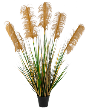 De Kunst Pampasgras 120 cm brandvertragend heeft lange, dunne groene en gele bladeren met pluizige bruine pluimen, gerangschikt in een zwarte pot tegen een witte achtergrond.