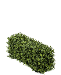 Haie de buis artificielle 70x20x25 cm UV