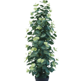 De Kunstplant Eucalyptus 76 cm is een hoge, weelderige kunstmatige eucalyptusplant met ronde groene bladeren in een zwarte pot, tegen een effen witte achtergrond.