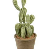 De Kunst Cactus Cereus 35 cm heeft groene, geribbelde rechtopstaande stelen in een pot met bruine structuur en lichtbruine aarde, tegen een effen witte achtergrond.