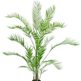 De Kunstplant Chamaedorea 150 cm is een hoge palm in pot met lange, overhangende groene bladeren en slanke stelen, tegen een effen witte achtergrond.