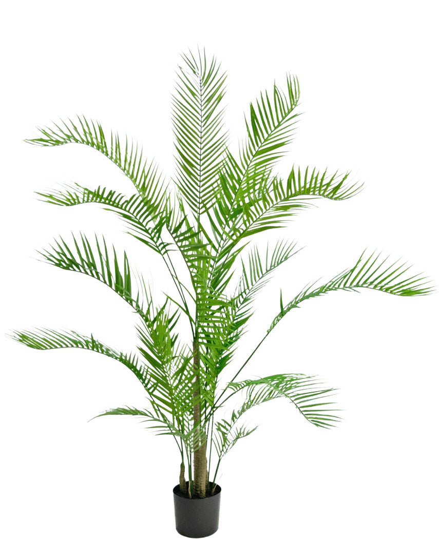 De Kunstplant Chamaedorea 150 cm is een hoge palm in pot met lange, overhangende groene bladeren en slanke stelen, tegen een effen witte achtergrond.