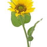 De Kunst Zonnebloem Deluxe 52 cm is een kunstzonnebloem met heldergele bloemblaadjes, een donkerbruin hart en groene bladeren op een lange steel, gefotografeerd tegen een effen witte achtergrond.