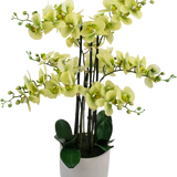 De Kunst Orchidee Real Touch 81 cm groen heeft lichtgroene orchideeënbloemen met donkergroene bladeren in een lichtgrijze pot, tegen een witte achtergrond.