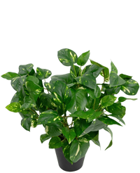 Plante artificielle Vigne Dorée en Pot 40cm