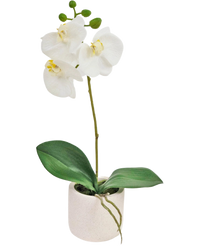 Orchidée artificielle Real Touch 30 cm blanche